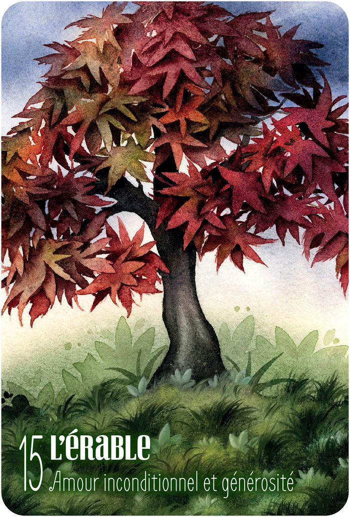 S'ouvrir à l'énergie des arbres