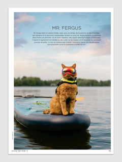 Les chats du monde