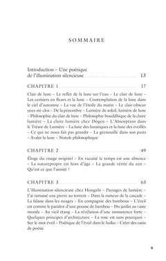 L'illumination silencieuse