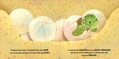 LA PETITE TORTUE