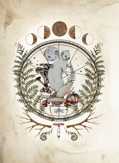 Le Forestarium - Mythes, légendes et explorations au coeur de la forêt