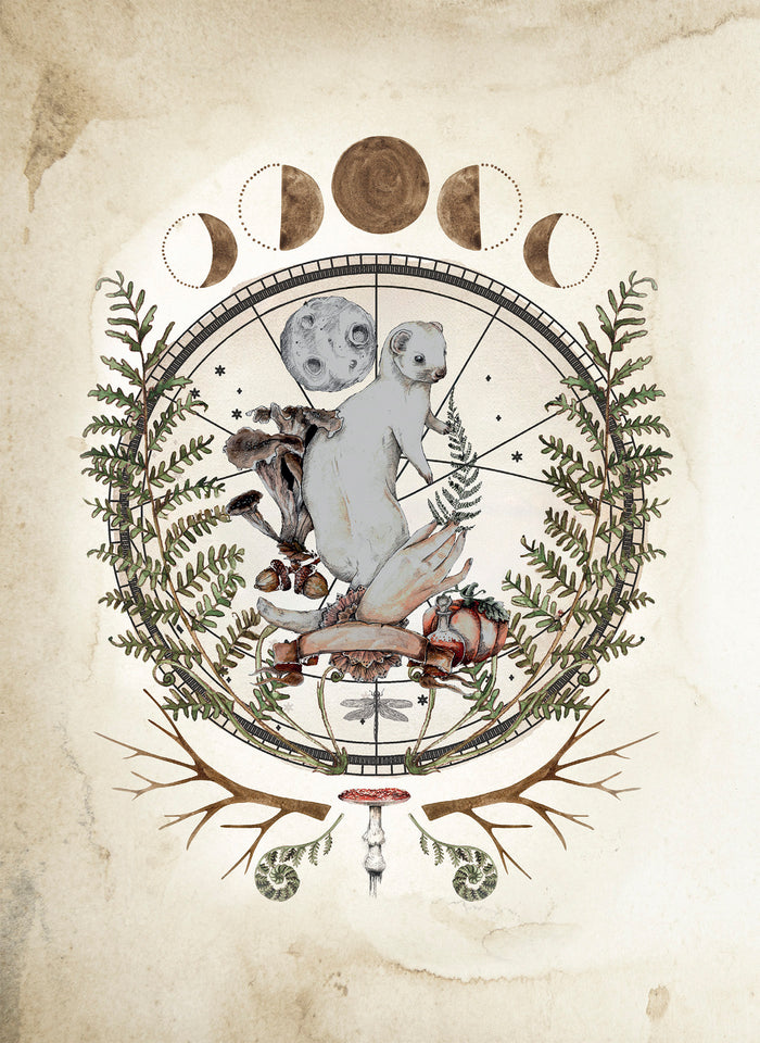 Le Forestarium - Mythes, légendes et explorations au coeur de la forêt