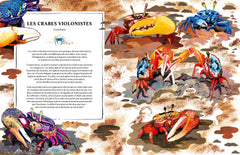 Oceanopedia