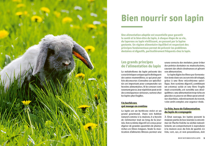 L'assiette nature du lapin heureux - Guide pour une alimentation saine et variée