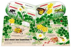 Les insectes