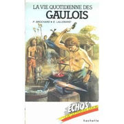 La vie quotidienne des gaulois