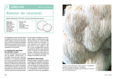 Guide des champignons médicinaux - Les 30 champignons incontournables - Leurs bienfaits sur la santé & le bien-être