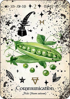 Oracle de la magie verte - Découvrez les vrais secrets de la magie botanique