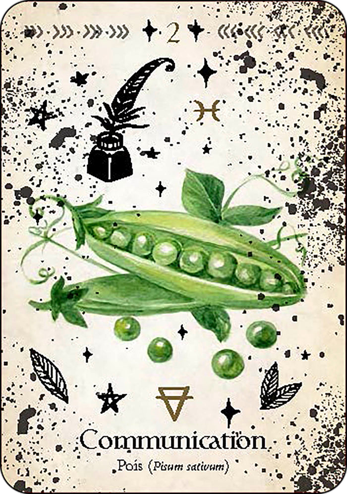 Oracle de la magie verte - Découvrez les vrais secrets de la magie botanique