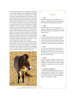 Chevaux Sauvages