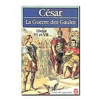 LA GUERRE DES GAULES 6 ET 7