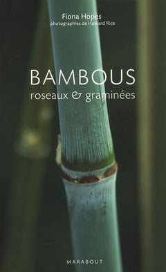 Bambous: Roseaux et graminées