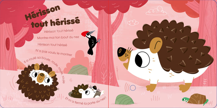 Mes premières petites chansons de petites bêtes à toucher