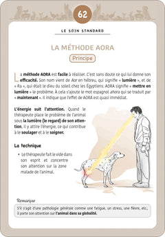 120 fiches de soins énergétiques pour les animaux
