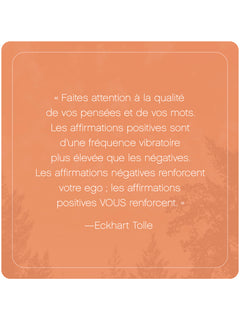 L'Appel du moment présent d'Eckhart Tolle - 52 cartes pour calmer l'esprit et vivre dans l'ici et maintenant