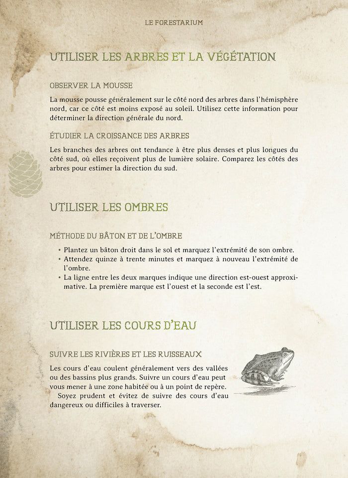 Le Forestarium - Mythes, légendes et explorations au coeur de la forêt