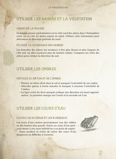 Le Forestarium - Mythes, légendes et explorations au coeur de la forêt