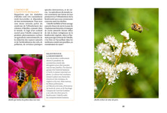 Accueillir des abeilles - Favoriser leur bien-être et pratiquer l'apiculture naturelle