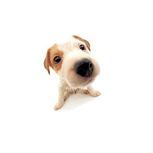 Teenage Dream [Import]