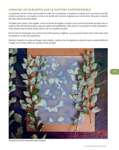 L'art du cyanotype