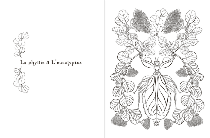 Esprits de la nature