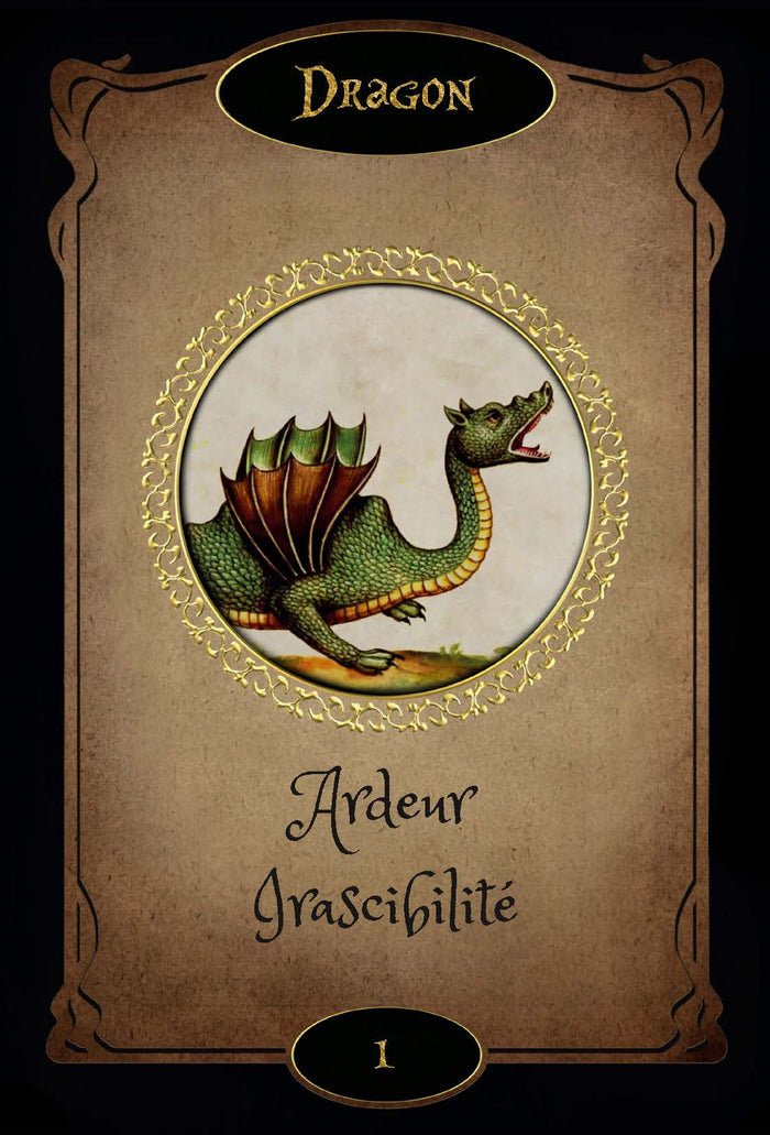 Coffret L'oracle le cercle des sorcières