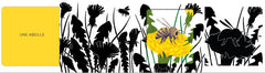Insectes