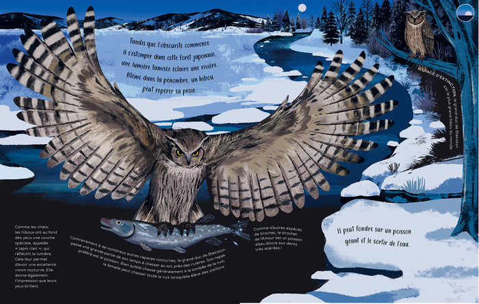 24 heures sur la Terre