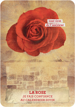 Les messages de Marie Madeleine - Cartes oracle