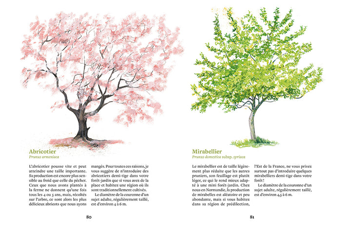 Créer une mini forêt-jardin