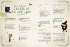 Brume - Mon grand livre de magie