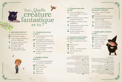 Brume - Mon grand livre de magie