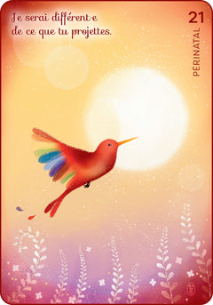 Bonjour bébé - 48 cartes pour communiquer avec son enfant avant et après la naissance