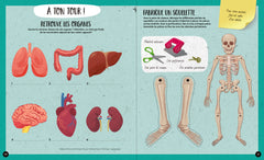 Quand, comment, pourquoi - Le corps humain