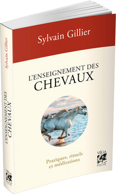 L'enseignement des chevaux - Pratiques, rituels et méditations