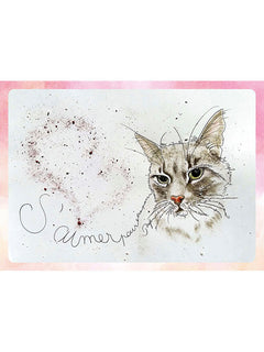 Méditations de chats