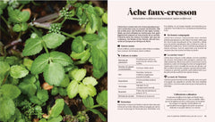 Mon potager perpétuel