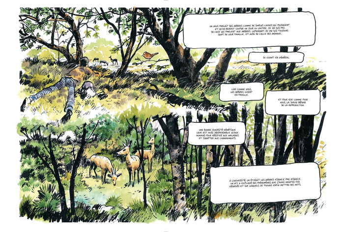 La vie secrète des arbres en BD