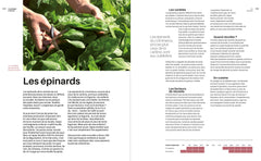 Le potager d'Olivier