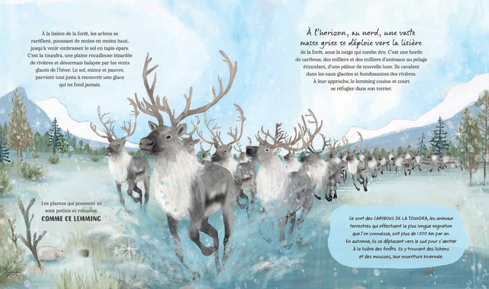 Un hiver en Arctique