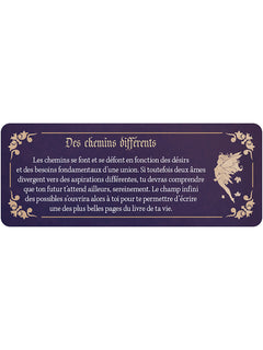 Le petit oracle grimoire de fées