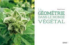 La géometrie dans le monde végétal