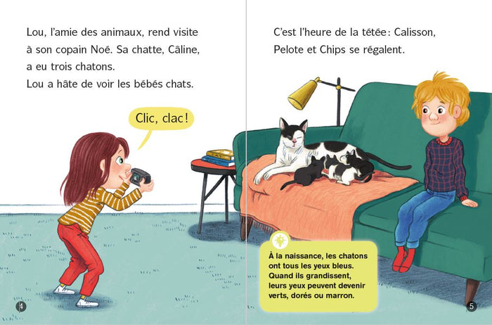 Les docs de Lou : tout sur les chats !