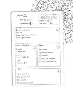 Mon journal alimentaire