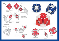 Origami - Les grands maîtres d'Italie