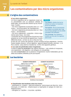 Assistant maternel - Tout-en-un - Préparation à l'agrément