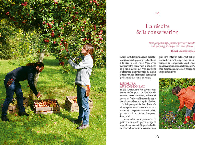 Créer et entretenir un verger permaculturel