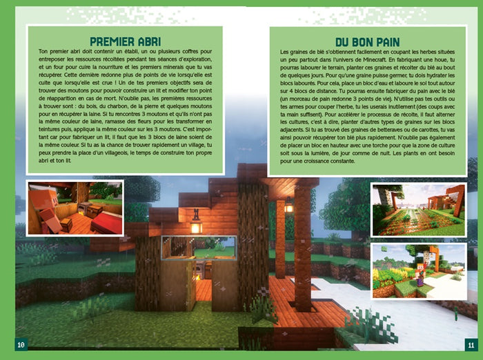 Minecraft - Le grand livre des trucs et astuces
