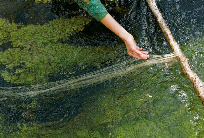 Filer les fibres naturelles - Chanvre, laine, ortie...