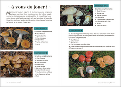 Les Carnets du Scarabée - Champignons